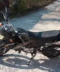 Generic Trigger 50 SM - 2012