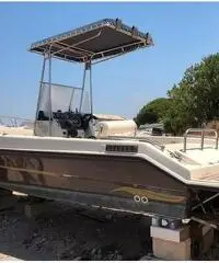 Barca a motore Master 730