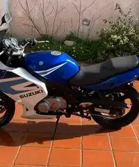 Suzuki gs500f