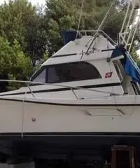 ARCIERE 27 FINNAUTICA (motori zero ore) ARCIERE 27 FINNAUTICA (motori zero ore)