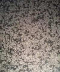 Vecchie mattonelle - Teramo