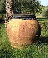 Orci fiorentini - Roma