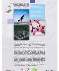 Venditore F&B, Cosmetica, Digital Marketing