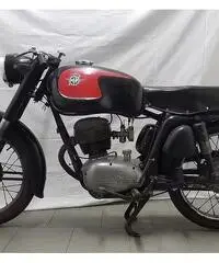 MV Agusta Altro modello - 1962 MV Agusta Altro modello - 1962