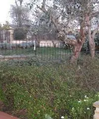 Appartamento in Affitto a 500€ - Firenze Appartamento in Affitto a 500€ - Firenze