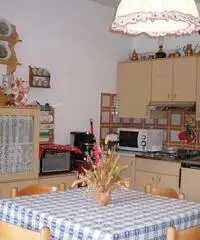 Appartamento in Affitto a 350€ - Udine Appartamento in Affitto a 350€ - Udine