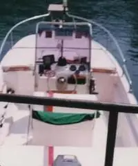 Barca open 5m con cabina a prua, 60CV e carrello Barca open 5m con cabina a prua, 60CV e carrello
