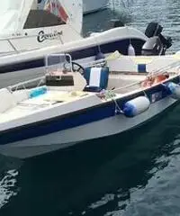 Barca a motore con carrello omologato