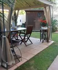 Appartamento in Affitto - CENTRO - Livorno Appartamento in Affitto - CENTRO - Livorno