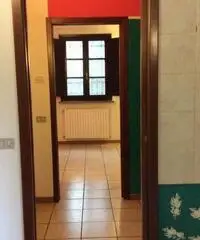 Pavia affitto bilocale