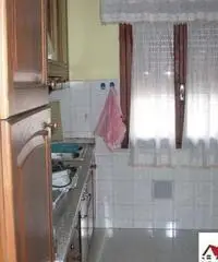 Appartamento in Affitto di 68mq - Pisa Appartamento in Affitto di 68mq - Pisa