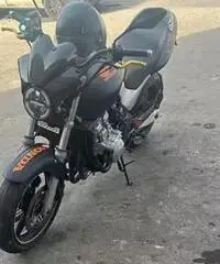 Honda hornet