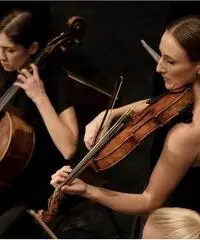 Organista e violinista a Bussolengo Organista e violinista a Bussolengo