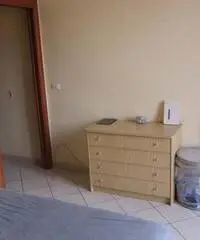 Affitto Appartamento a Torino Affitto Appartamento a Torino