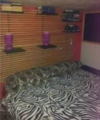 Affitto piccolo appartamento zona pigneto - Roma Affitto piccolo appartamento zona pigneto - Roma