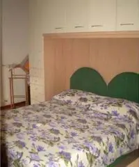 Arezzo Affitto Appartamento