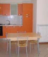 Arezzo Affitto Appartamento