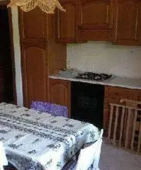 Appartamento in Affitto di 55mq - Marche Appartamento in Affitto di 55mq - Marche