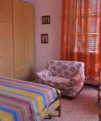 Appartamento in Affitto - CENTRO - Marche