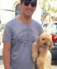 Domestico badante custode giardiniere tutto fare Domestico badante custode giardiniere tutto fare