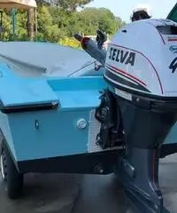 Cofano Cofano