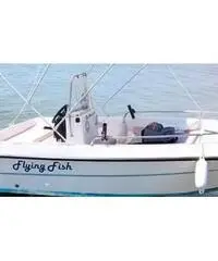 Barca navalplastica Flying fishing 5 m