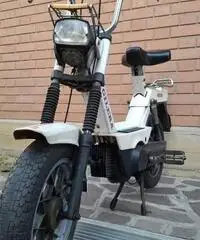 Gilera eco Gilera eco