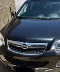 Opel antara Opel antara