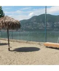 cerco compagna per sempre cerco compagna per sempre