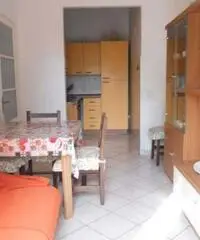 Novara Affitto Appartamento Novara Affitto Appartamento