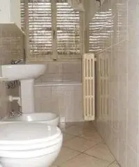 Novara Affitto Appartamento Novara Affitto Appartamento