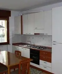 BILOCALE A FORLI' IN S. MARTINO IN STRADA - Forlì BILOCALE A FORLI' IN S. MARTINO IN STRADA - Forlì