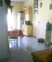 Luminoso bilocale Libero dal 1 marzo 2016 - Torino