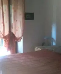 Luminoso bilocale Libero dal 1 marzo 2016 - Torino