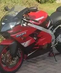 Ninja ZX 9R Ninja ZX 9R