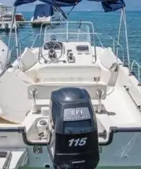 Boston whaler 190 Montauk 50'anniversario Boston whaler 190 Montauk 50'anniversario