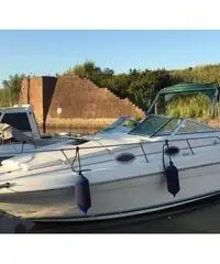 Sea Ray 250 sundencer Sea Ray 250 sundencer