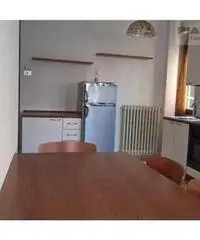 Appartamento di 2 locali in Affitto - Marche Appartamento di 2 locali in Affitto - Marche