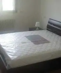 Appartamento a Fano in provincia di Pesaro e Urbino - Marche Appartamento a Fano in provincia di Pesaro e Urbino - Marche