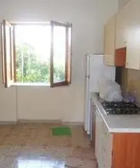 Nola Affitto Appartamento - Napoli Nola Affitto Appartamento - Napoli