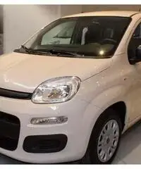 Fiat Panda NEOPATENTATI IN ARRIVO - 2016