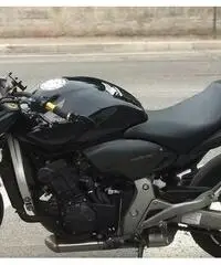 Hornet 600 Hornet 600